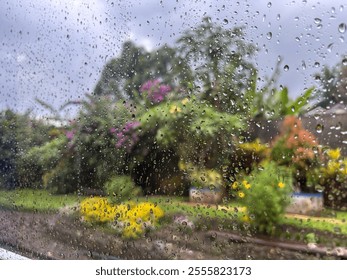 “Raindrops on the train window frame a delicate dance of flowers in the distance—a serene blend of nature and motion. #RainyWindow #TrainJourney #NatureScenes”