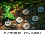On the trunk of a tree, covered with ivy, are wooden Scandinavian runes. The concept of divination and esotericism. Dark colors