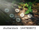On the trunk of a tree, covered with ivy, are wooden Scandinavian runes. Mystic light. The concept of divination and esotericism. Close up