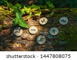On the trunk of a tree, covered with ivy, are wooden Scandinavian runes. The concept of divination and esotericism. Close up