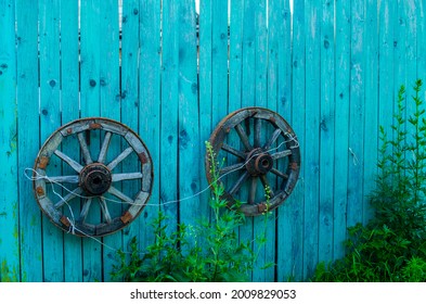 on the turquoise fence hang old wooden cart wheels, rusty iron on them .near the fence there is green grass ,nettles