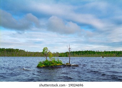 On Very Small Rock Island Grow Different Tree