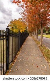 On A Walk In Vicksburg, MS