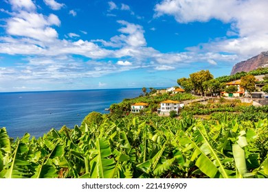 On the way on the city levadas of Funchal with a fantastic view on the Atlantic Ocean - Madeira - Portugal  - Shutterstock ID 2214196909