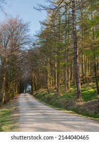 On The Way To Keeper Hill , County Tipperary , Ireland.