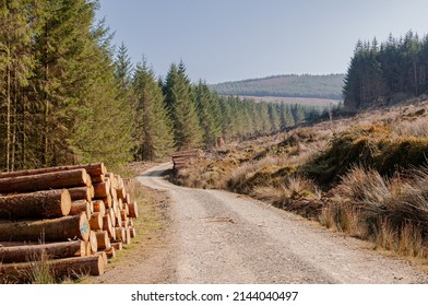 On The Way To Keeper Hill , County Tipperary , Ireland.