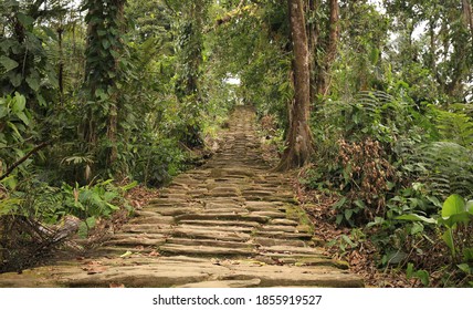 On The Way To The Lost City, Colombia