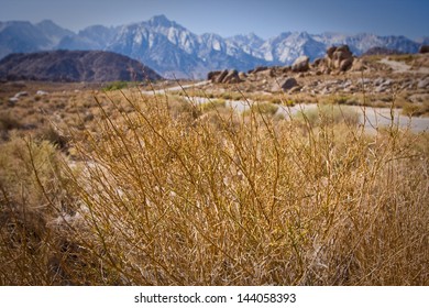 On The Way To Mount Whitney, California, US.