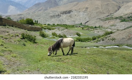 On A Way To Mustang, Nepal