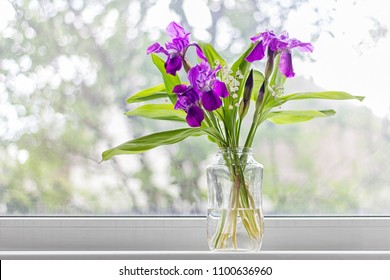 On The Windowsill There Is A Glass Vase With Fresh, Beautiful Flowers.