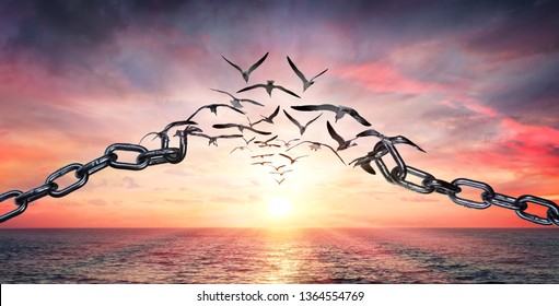 On The Wings Of Freedom - Birds Flying And Broken Chains - Charge Concept
 - Shutterstock ID 1364554769