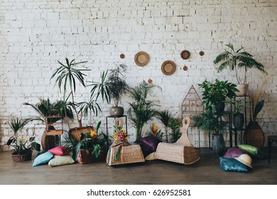On a wooden floor in a loft with a white brick wall are wicker chairs, vases with tropical plants, cages for birds, there are colored pillows, a bridal bouquet with colored ribbons stands on a chair