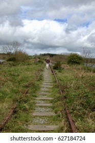On the wrong side of the track