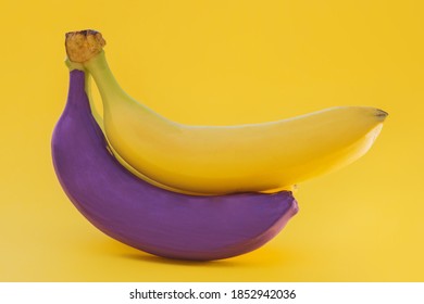 on a yellow background in a bunch of two bananas, one yellow, the other purple. The idea is to be unique, not like everyone else, to stand out from the crowd. Horizontal photo, close-up