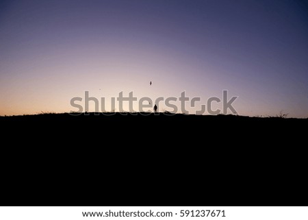 Similar – Flying rainbow kites coast