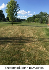 A One Acre Backyard With Green Trees And A Fresh Cut Lawn.