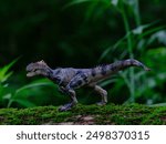 one Allosaurus and black background