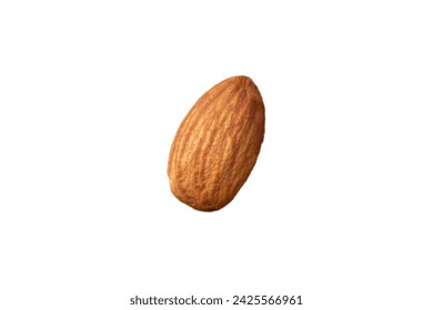 One Almond isolated on white background.