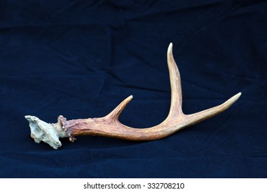 One Antler
