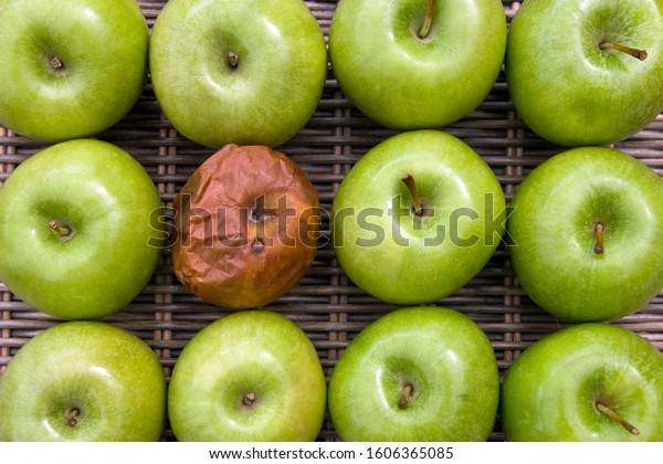One bad apple - one rotten apple in a group of a\
dozen apples.