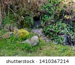 One of the beginning springs of the River Kennet at it