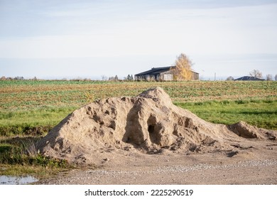 One Big Pile Of Yellow Sand On Green Grass Outside