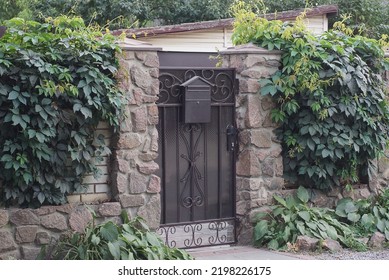 One Black Metal Door With A Wrought Iron Pattern And A Mailbox On A Brown Stone Fence Wall Overgrown With Green Vegetation On A Rural Street