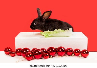 One Black Rabbit Sits At The Table And Eat Cabbage. Red Christmas Balls On A White Background. Hare Is The Symbol Of 2023 According To The Eastern Calendar. New Year Holiday Postcard. Vegetarian Food.