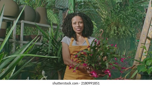 One Black Woman Farmer Watering Plants And Food With Watering Can. Person Irrigating Farm Growing Community Garden