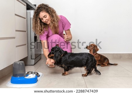 One blond woman wearing pink dress in the kitchen feeding two Dachshund dogs with snacks