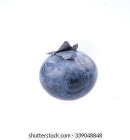 Single Blueberry High Res Stock Images Shutterstock Single Blueberry High Res Stock Images Shutterstock