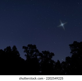 One Bright Christmas Star Over A Forest In North Carolina