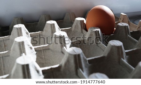 one brown egg in a carton with many cells close-up, a chicken egg with a beige shell remaining dingy in a huge box with grooves, a food product rich in protein