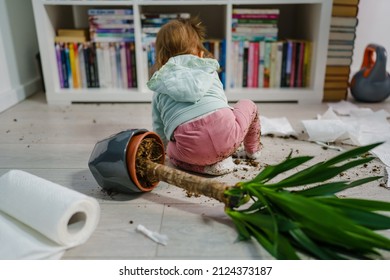 one caucasian baby girl making mess playing and mischief with bad behavior ripping paper towel and flower pot cruched on the floor naughty kid at home childhood and growing up misbehavior concept - Shutterstock ID 2124373187
