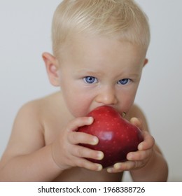 One Caucasian Blond Toddler Boy Blue Eyes Eating Red Apple. Child Enjoying Taste Red Apple. Healthy Lifestyle, Healthy Food, Children Healthy Snack, Healthy Children Nutrition, Concept