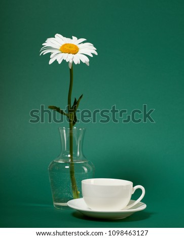 Similar – Fresh chamomile flowers in teapot on blue background