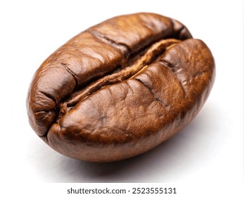 one coffee bean close up studio shot