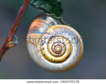 Similar – Image, Stock Photo round thing Harmonious