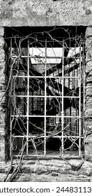 One covered metal caged window in an abandoned turn of the century building.