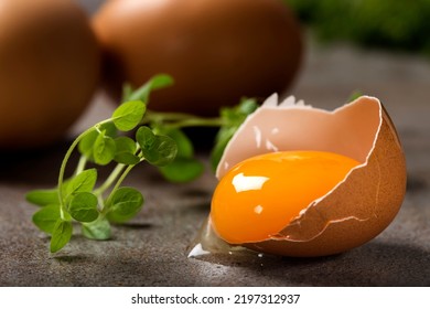 One Cracked Egg With Yolk And Fresh Green Oregano - Close Up View