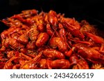 One Crawfish on a bed of other Boiled Crawfish 