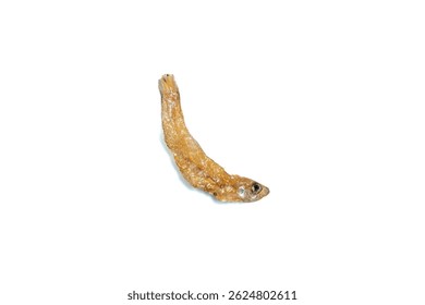 One Crispy fried salted anchovy on isolated white background, Top view