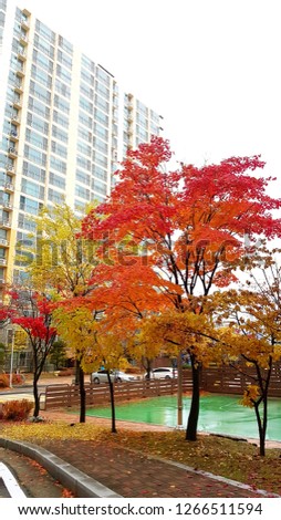 Similar – Image, Stock Photo Autumn is here Environment