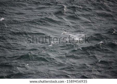 One of the days when you would rather be indoors, but, now see the seagull flying right over the waves, so beautiful and fresh weather anyway.