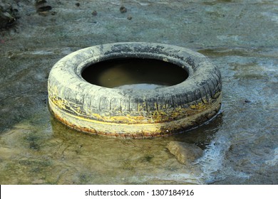 One Dirty Tires Dumped Bottom River Stock Photo 1307184916 | Shutterstock