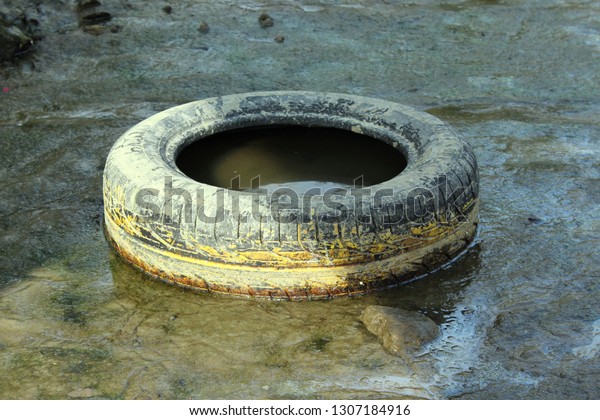 one dirty\
tires dumped at the bottom of the\
river