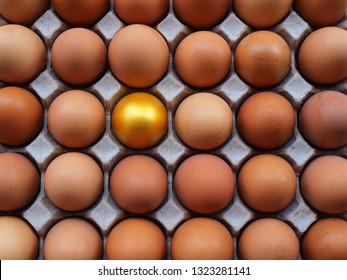 One of the distinctive gold egg, the bubble amid the plain egg on a special tray that worthy of admiration, praising the background color creamy chicken egg in the paper tray.