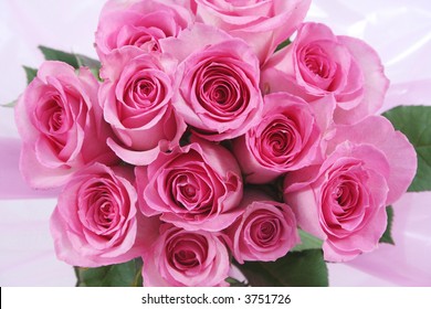 One Dozen Pink Roses In A Pink Wrap