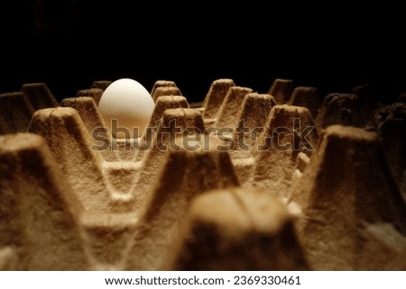 One egg on the egg box , single object , copy space with dark background 