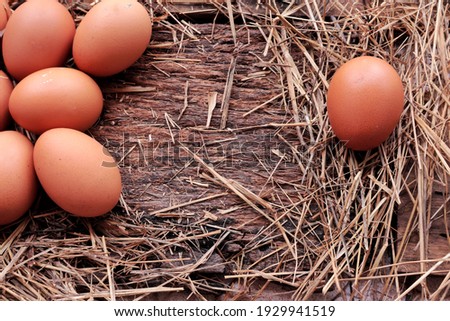 One egg on the opposite side of several eggs,copy space 